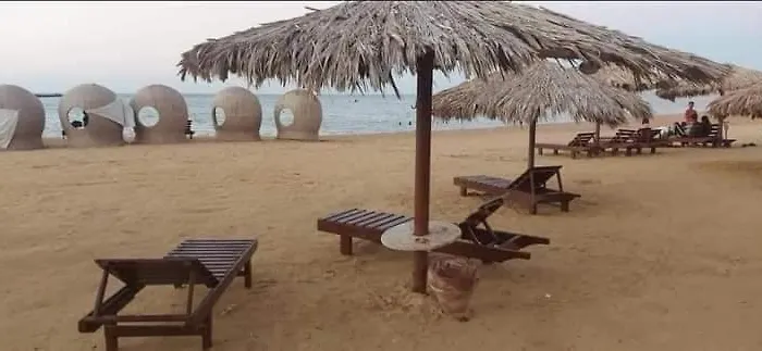 Palma Send What's2 Hurghada